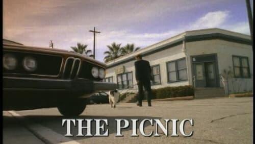 The Picnic