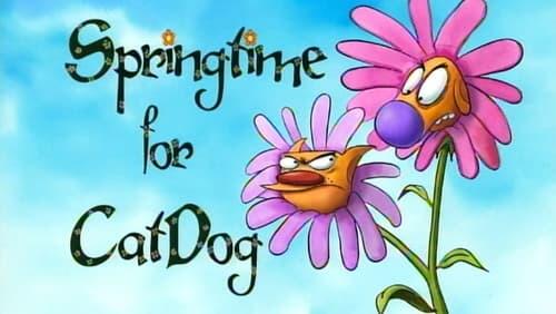 Springtime for CatDog