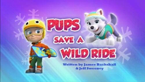 Pups Save a Wild Ride