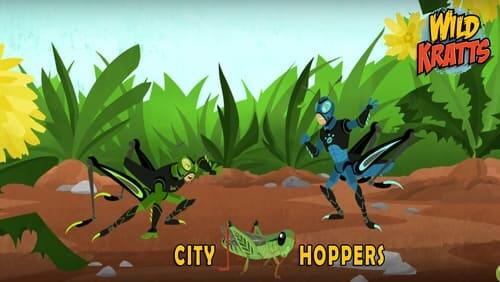 City Hoppers!