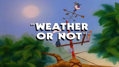 Weather or Not