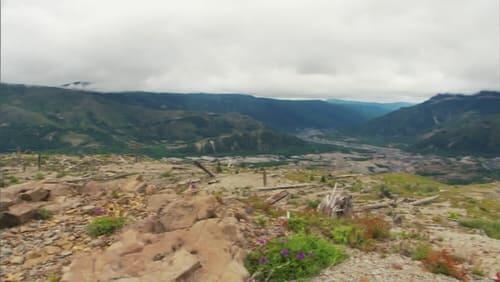 The Petrified Forest