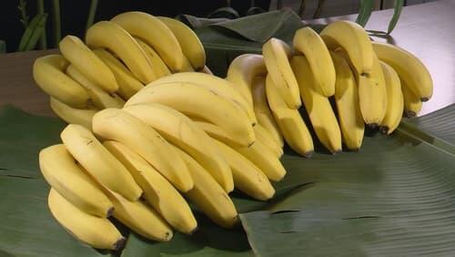 BANANAS