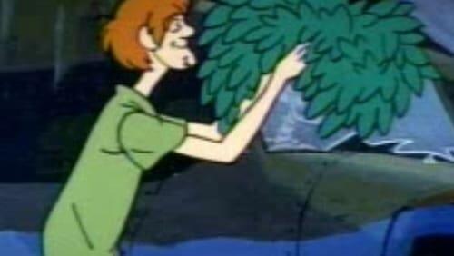 Shaggy Busted