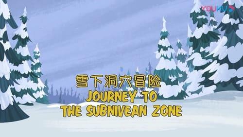 Journey to the Subnivean Zone