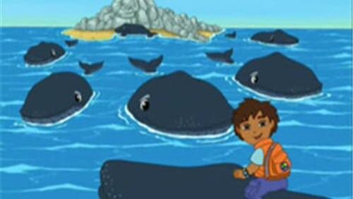 Diego Saves Baby Humpback Whale