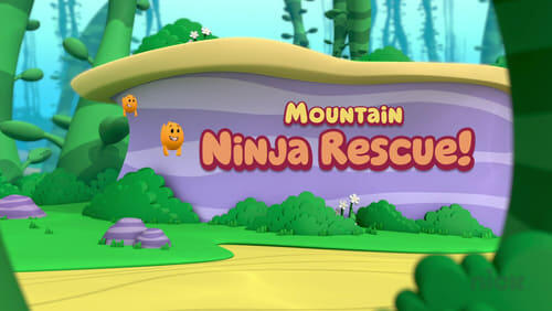 Mountain Ninja Rescue