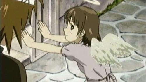 The City and the Wall/Toga/Haibane Renmei