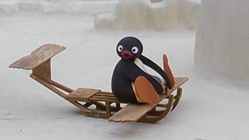 Pingu the Pilot