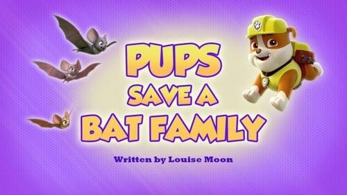 Pups Save a Bat Family