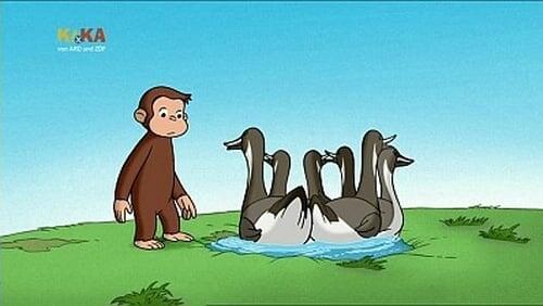 Water To Ducks