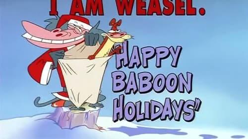 Happy Baboon Holidays