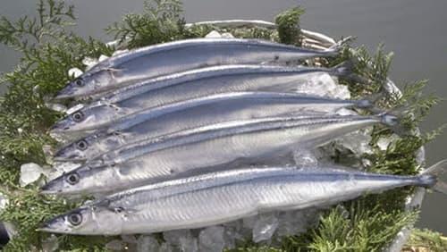 Sanma