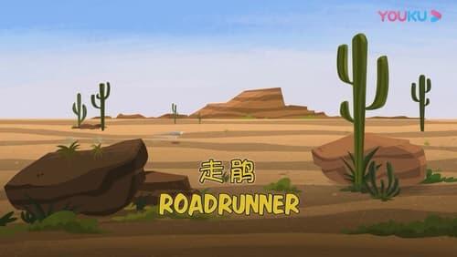 Road runner