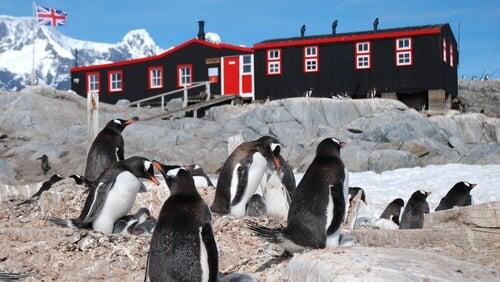 Penguin Post Office