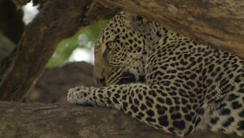 Lake Manyara National Park