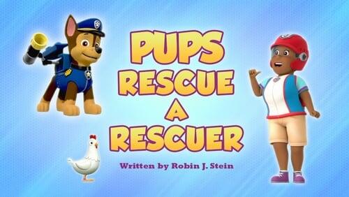 Pups Rescue a Rescuer