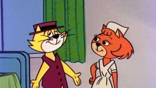 Top Cat Falls in Love