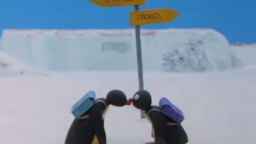 Pingu's Admirer