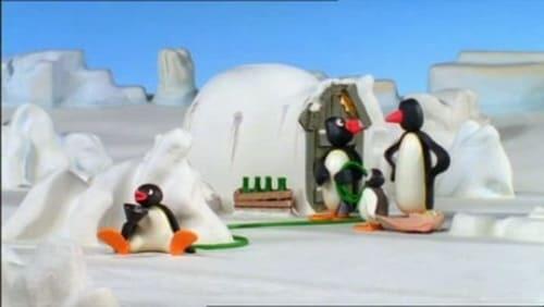 Pingu and the Hose