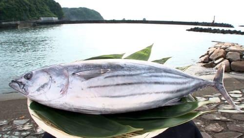 Katsuo