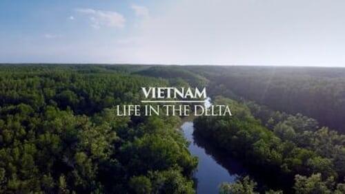 Vietnam: Life in the Delta