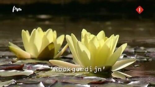 Rookgordijn