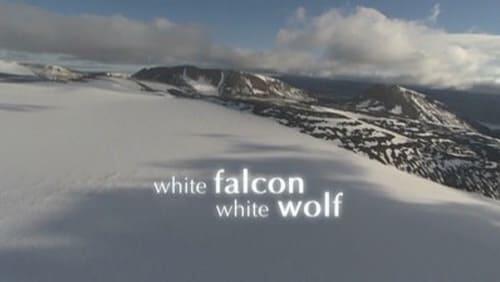 White Falcon, White Wolf