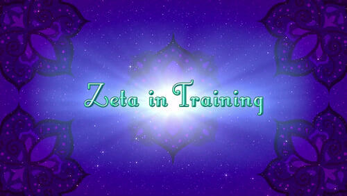 Zeta in Training