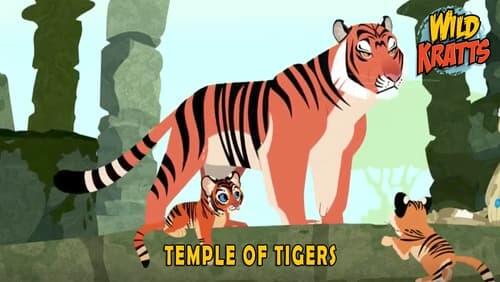 Temple of the Tigers