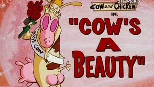 Cow's a Beauty