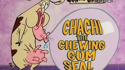 Chachi, the Chewing Gum Seal