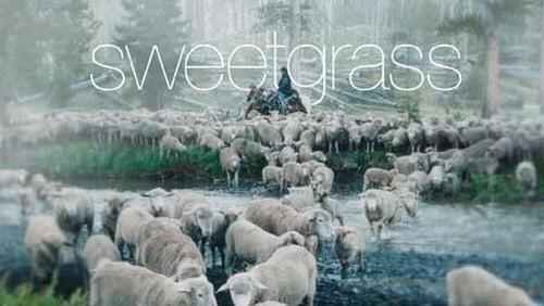 Sweetgrass