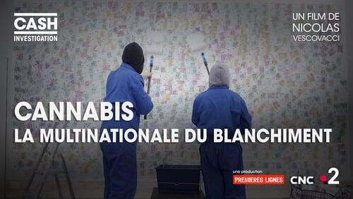 Cannabis, la multinationale du blanchiment