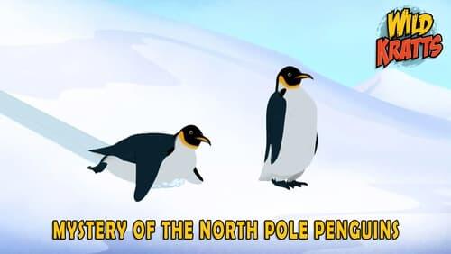 Mystery of the North Pole Penguins?