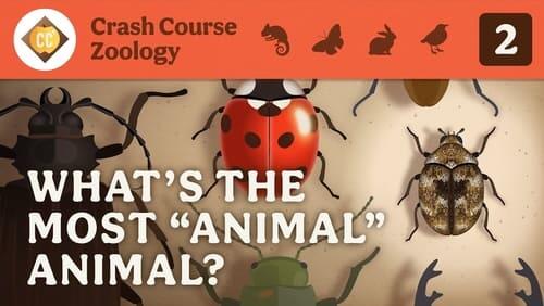 What's the Most 'Animal' Animal?