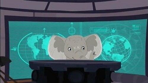 Elephant in the Room