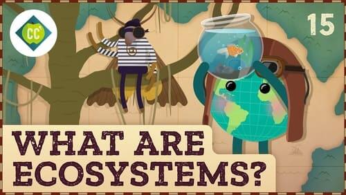 What are ecosystems?