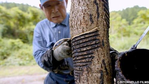 A Treasured Creation: The Bond with Urushi, Japanese Lacquer