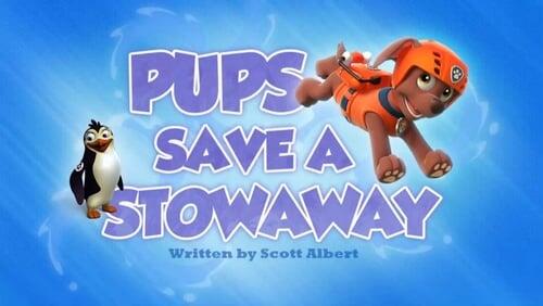 Pups Save a Stowaway