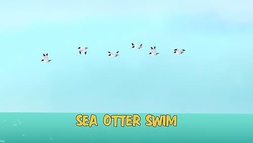 Sea Otter Swim