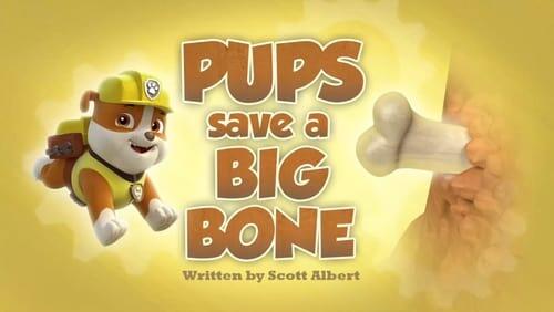 Pups Save a Big Bone