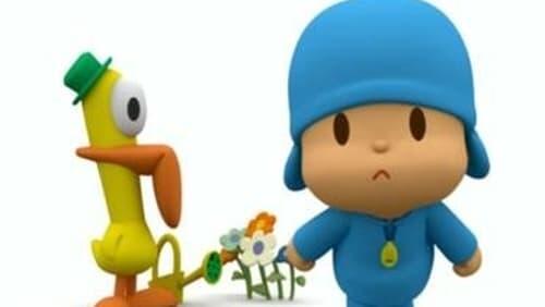 Pocoyo, Pocoyo