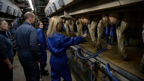 De boeren maken zich op voor de logeerweek