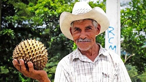 Guatemala, Honduras and Nicaragua