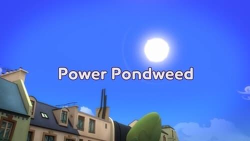 Power Pondweed