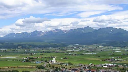 Furano: Summer in the Purple City