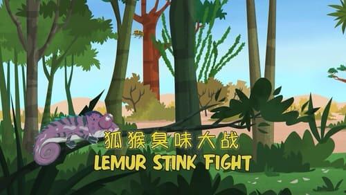 Lemur Stink Fight