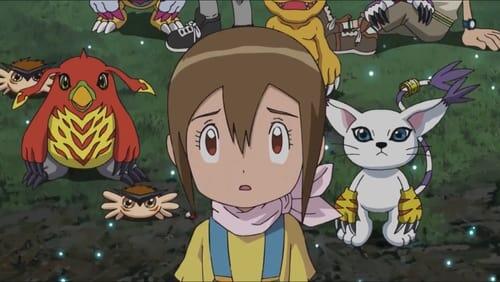 Hikari and the Moving Forest