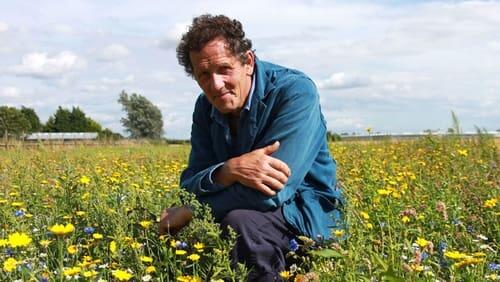 Wild Flowers and Front Gardens